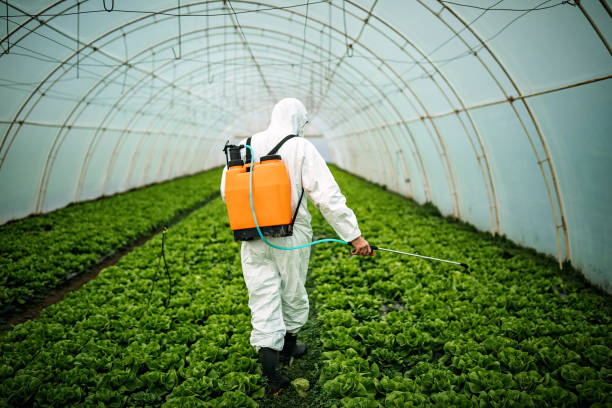 Best Pest Inspection Near Me  in Summer Set, MO