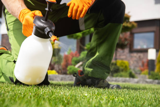 Best Flea Control Services  in Summer Set, MO