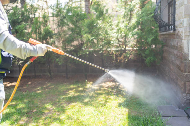 Best Pest Inspection Near Me  in Summer Set, MO