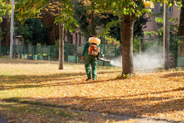 Professional Pest Control in Summer Set, MO