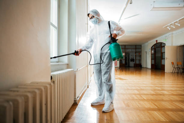 Professional Pest Control in Summer Set, MO